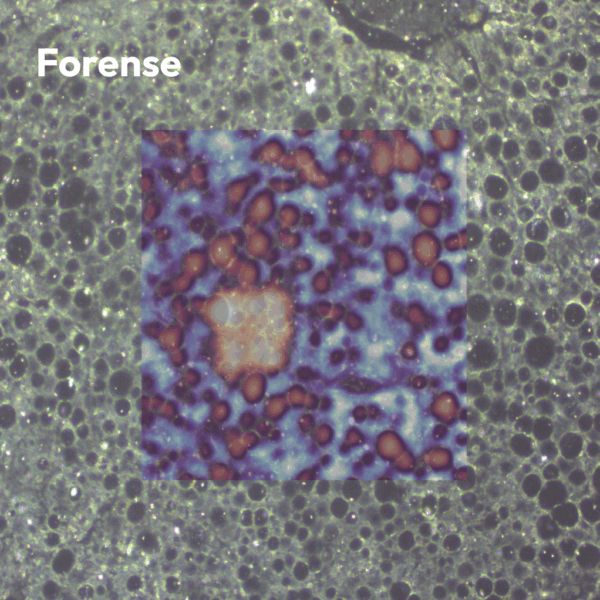 Microscopio RAMAN RM5 - Imagen 10