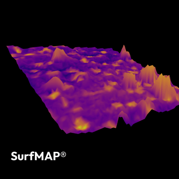 Microscopio RAMAN RM5 - Imagen 5