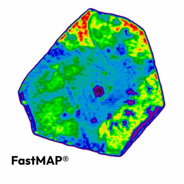 Microscopio RAMAN RM5 - Imagen 6
