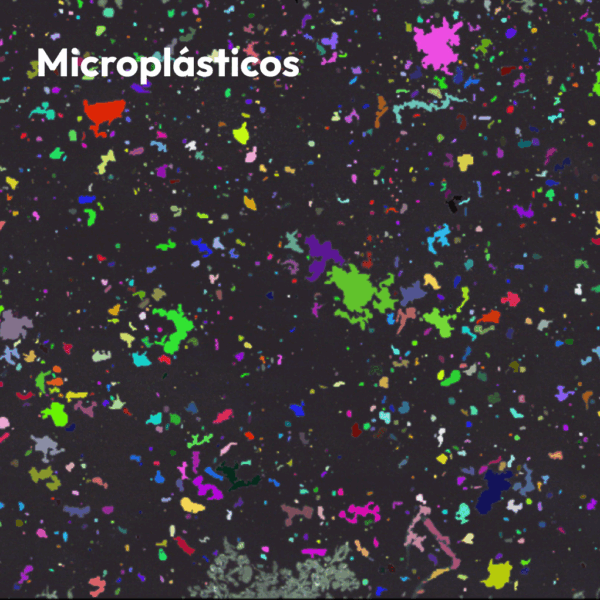 Microscopio RAMAN RM5 - Imagen 7