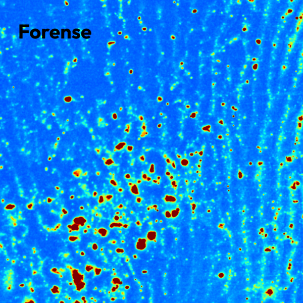 Microscopio RAMAN RM5 - Imagen 8