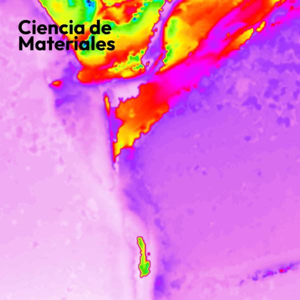 Microscopio RAMAN RM5 - Imagen 9