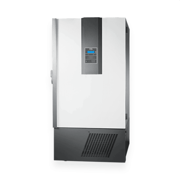 IULT 335D – 710
