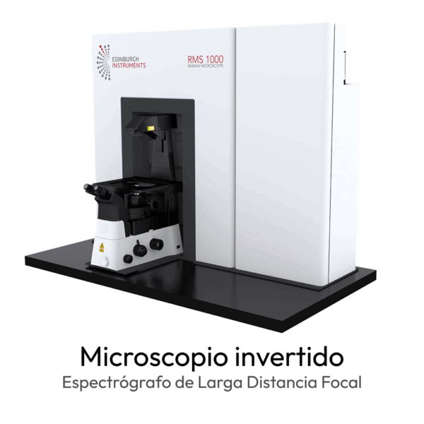 Microscopio Confocal Multimodal RMS1000 - Imagen 4