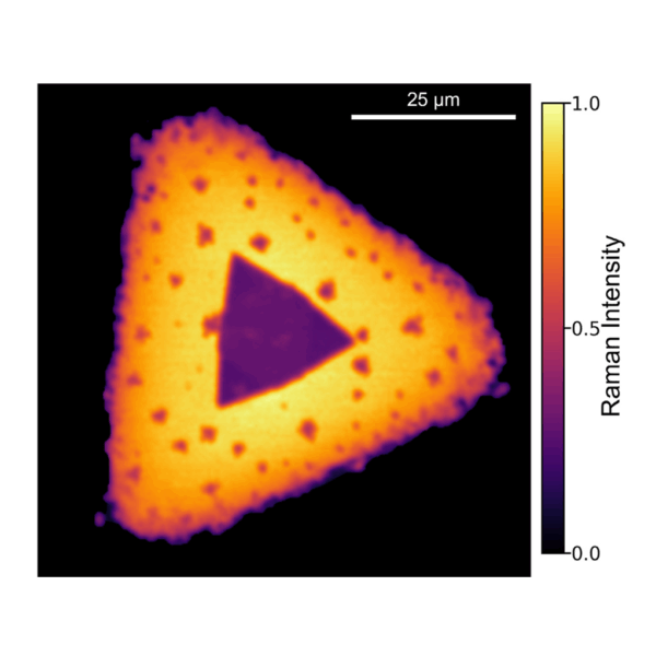 Microscopio Confocal Multimodal RMS1000 - Imagen 6