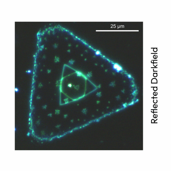 Microscopio Confocal Multimodal RMS1000 - Imagen 7
